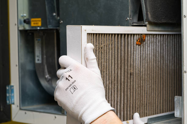 Best Home Air Vent Cleaning  in Dogtown, CA