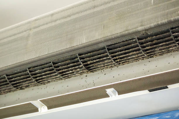 Best Professional Duct Cleaning Services  in Dogtown, CA